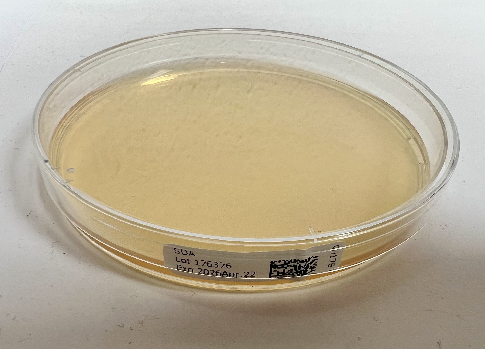 Analyse laboratoire
